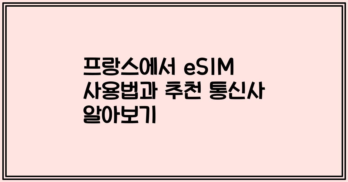 프랑스에서 eSIM 사용법과 추천 통신사 알아보기