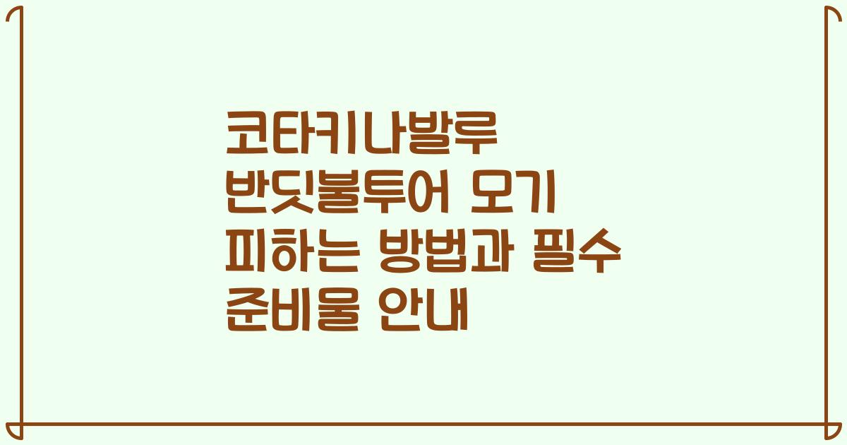 코타키나발루 반딧불투어 모기 피하는 방법과 필수 준비물 안내
