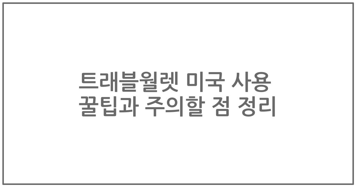 트래블월렛 미국 사용 꿀팁과 주의할 점 정리